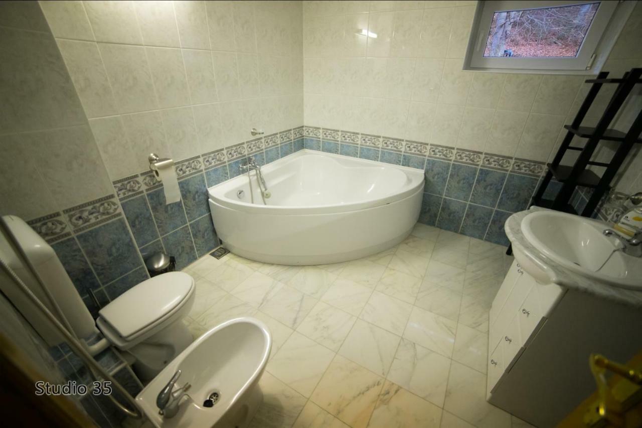 Studio 35 Buşteni Екстериор снимка