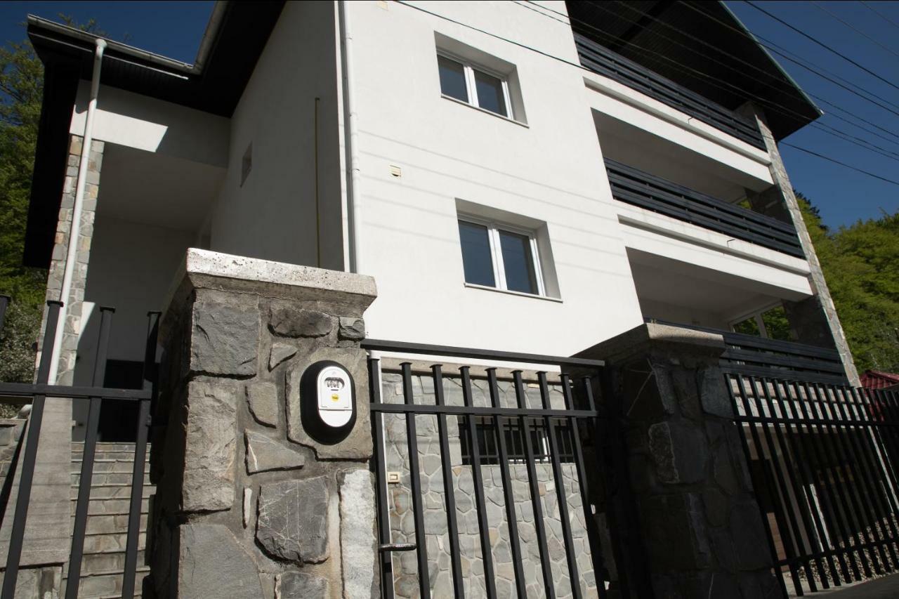 Studio 35 Buşteni Екстериор снимка