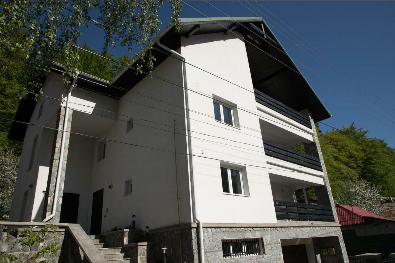Studio 35 Buşteni Екстериор снимка