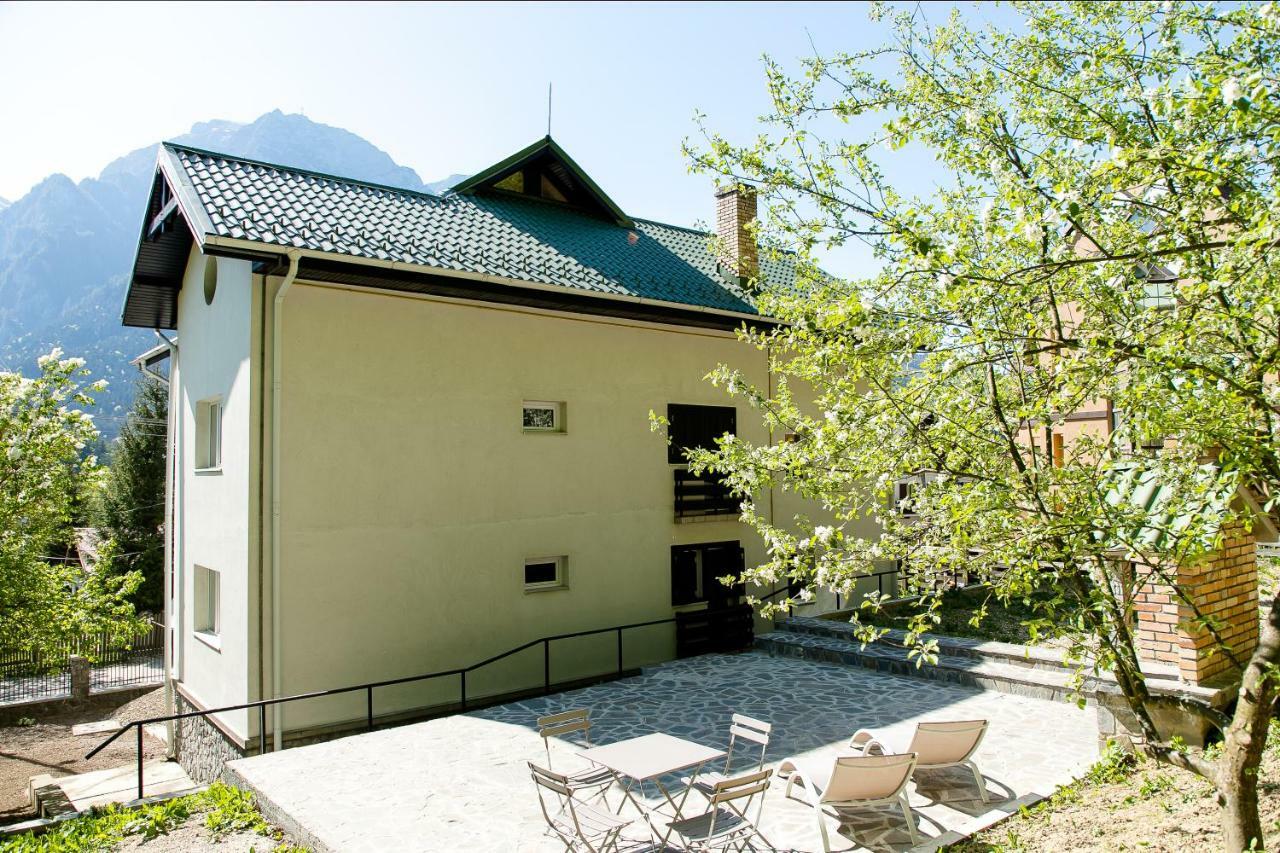 Studio 35 Buşteni Екстериор снимка
