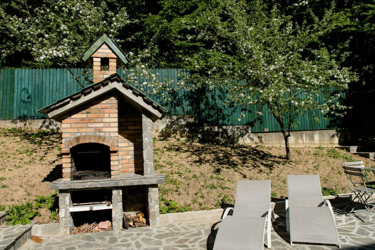 Studio 35 Buşteni Екстериор снимка